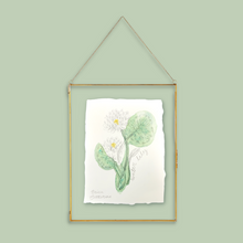 Load image into Gallery viewer, July Birth Flower - Water Lily Mini Original Artwork