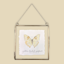 Load image into Gallery viewer, Yellow Tailed Sulphur Butterfly Original Artwork