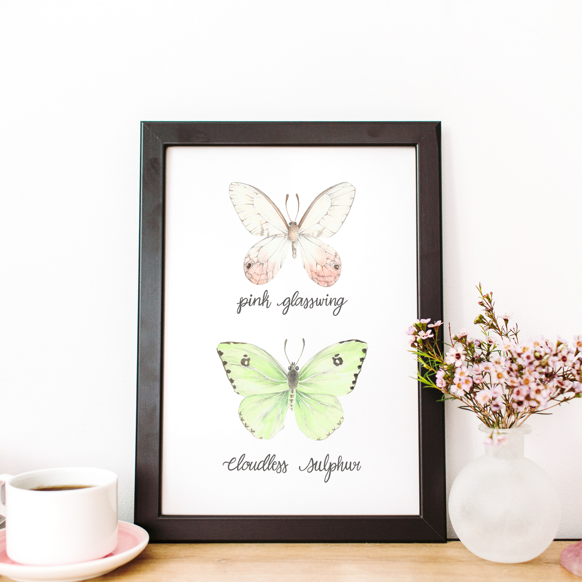 Pink Glasswing and Cloudless Sulphur Butterfly Art Print