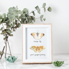 Load image into Gallery viewer, Orange Tip and Great Spangled Fritillary Butterfly Art Print