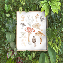 Load image into Gallery viewer, Mushroom Chart Art Print
