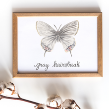 Load image into Gallery viewer, Gray Hairstreak Butterfly Print