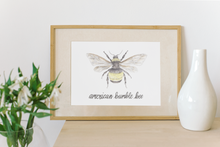 Load image into Gallery viewer, American Bumble Bee Print