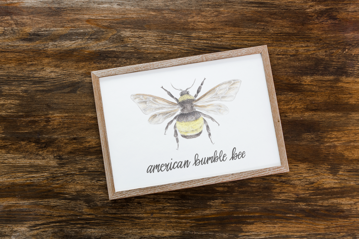 American Bumble Bee Print