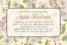 Load image into Gallery viewer, Apple Blossom Scarf - Arkansas State Flower - Michigan State Flower