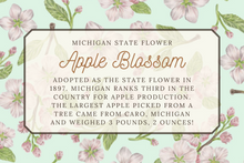 Load image into Gallery viewer, Apple Blossom Scarf - Arkansas State Flower - Michigan State Flower