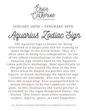 Load image into Gallery viewer, Aquarius Zodiac Sign Sticker