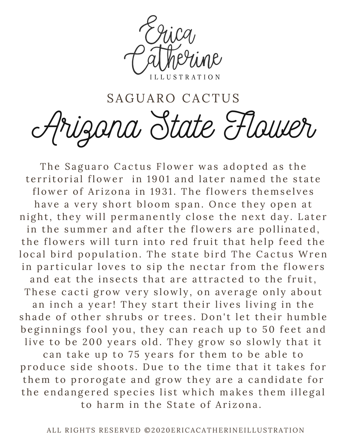 Arizona State Flower Map Vinyl Sticker