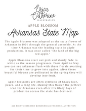 Load image into Gallery viewer, Arkansas State Map Art Print