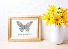 Load image into Gallery viewer, Black Swallowtail Butterfly Art Print