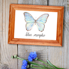 Load image into Gallery viewer, Blue Morpho Butterfly Art Print