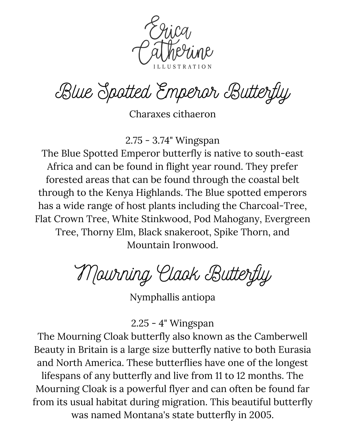 Blue Spotted Emperor and Mourning Cloak Butterfly Art Print