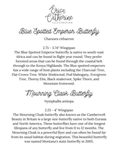 Load image into Gallery viewer, Blue Spotted Emperor and Mourning Cloak Butterfly Art Print