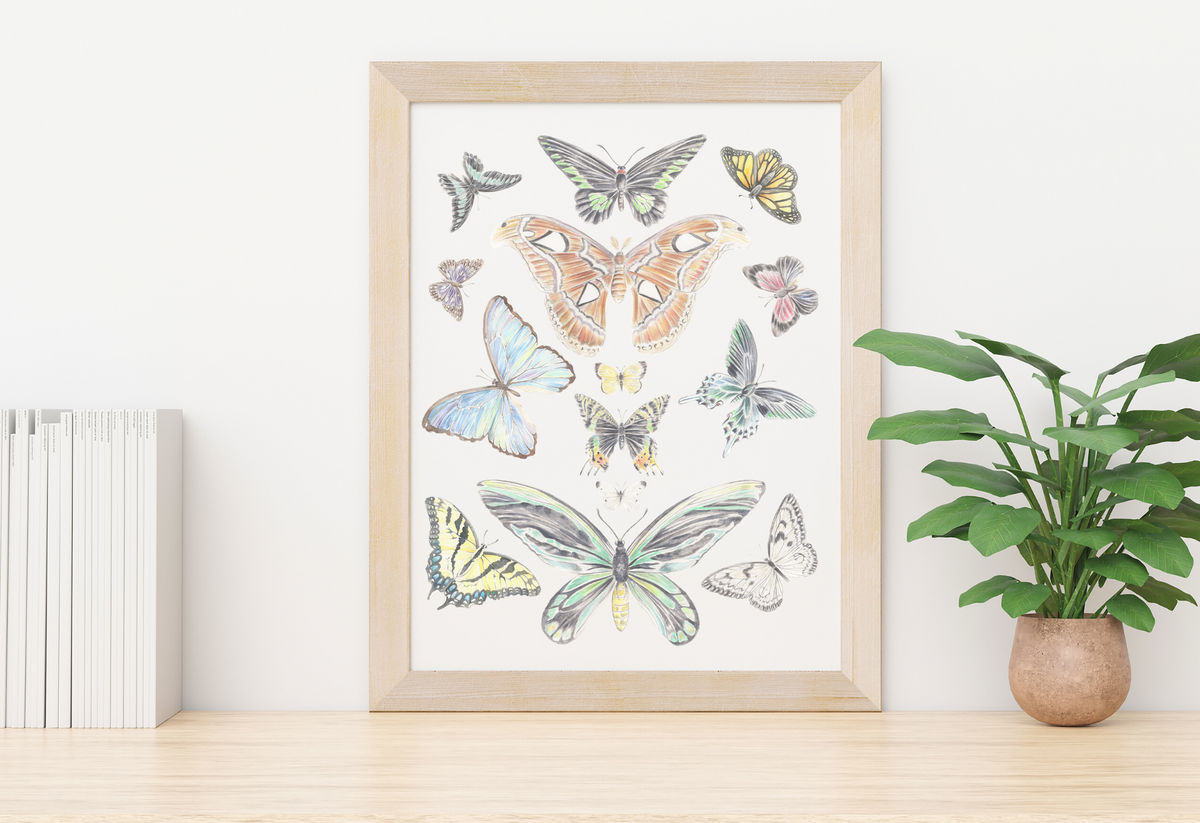 Butterflies of the New Horizon Collection