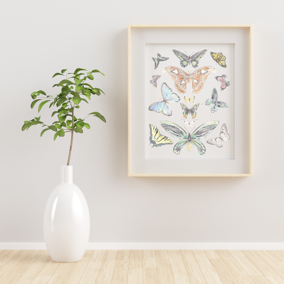 Butterflies of the New Horizon Collection