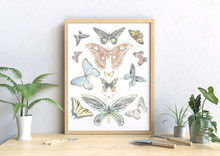 Load image into Gallery viewer, Butterflies of the New Horizon Collection