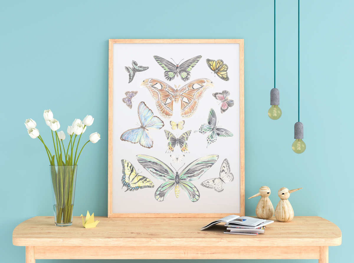 Butterflies of the New Horizon Collection