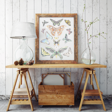 Load image into Gallery viewer, Butterflies of the New Horizon Collection