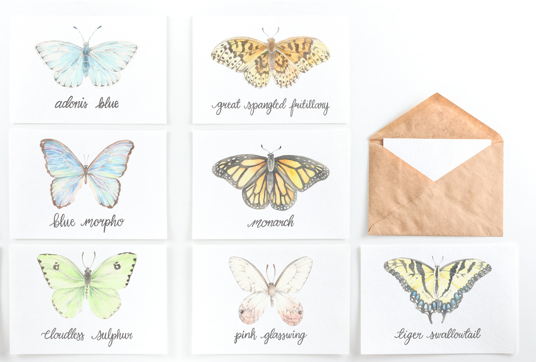 Butterfly Card Set
