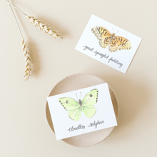 Load image into Gallery viewer, Butterfly Card Set