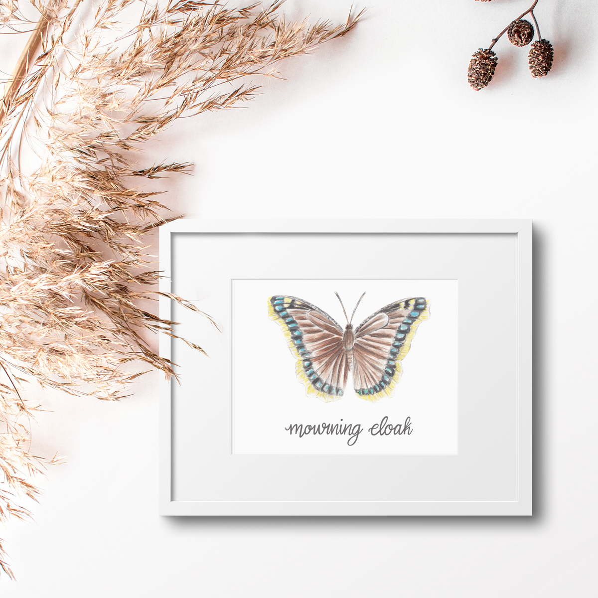 Mourning Cloak Butterfly Art Print