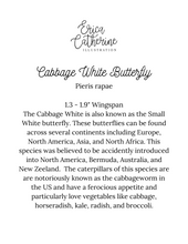 Load image into Gallery viewer, Cabbage White Butterfly Art Print