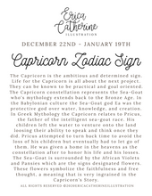 Load image into Gallery viewer, Capricorn Zodiac Sign Sticker