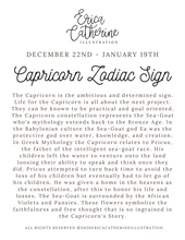 Load image into Gallery viewer, Capricorn Sign Art Print
