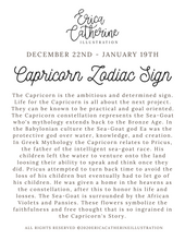 Load image into Gallery viewer, Capricorn Zodiac Sign Original Artwork