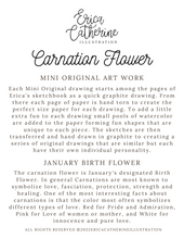 Load image into Gallery viewer, January Birth Flower - Carnation Mini Original Drawing