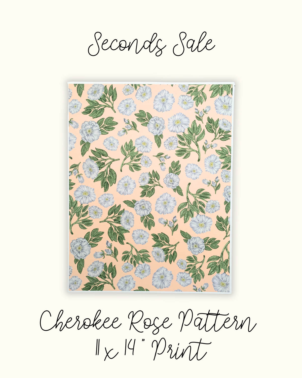 Cherokee Rose Pattern 11x14" Print - Seconds Sale