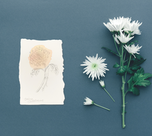 Load image into Gallery viewer, November Birth Flower - Chrysanthemum Mini Original Artwork