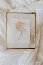Load image into Gallery viewer, November Birth Flower - Chrysanthemum Mini Original Artwork