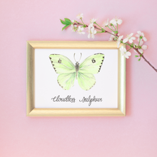 Load image into Gallery viewer, Cloudless Sulphur Butterfly Art Print