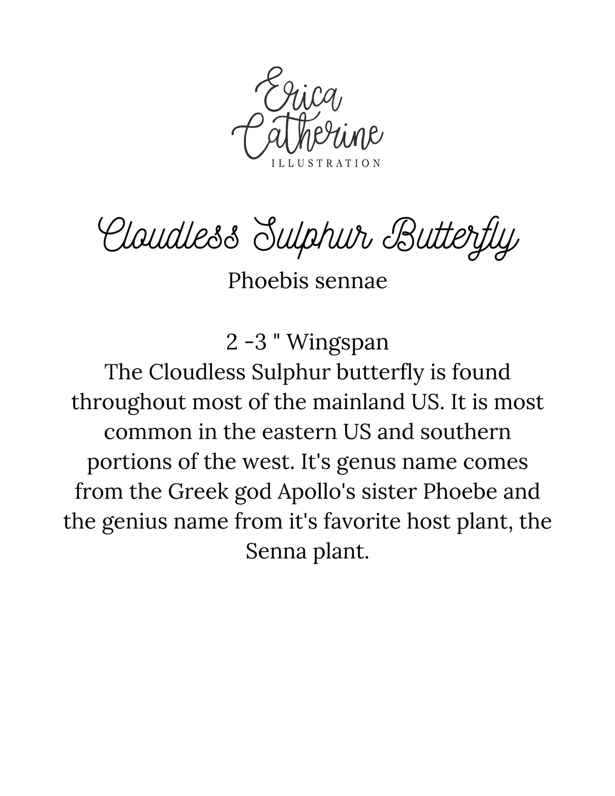 Cloudless Sulphur Butterfly Art Print