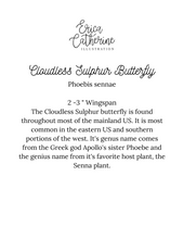 Load image into Gallery viewer, Cloudless Sulphur Butterfly Art Print