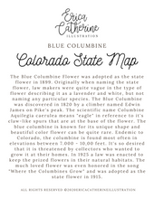 Load image into Gallery viewer, Colorado State Map Art Print