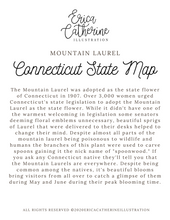 Load image into Gallery viewer, Connecticut State Map Art Print