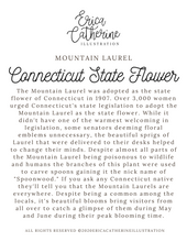 Load image into Gallery viewer, Connecticut State Flower Map Vinyl Sticker