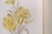 Load image into Gallery viewer, March Birth Flower - Daffodil Mini Original Artwork