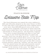 Load image into Gallery viewer, Delaware State Map Art Print