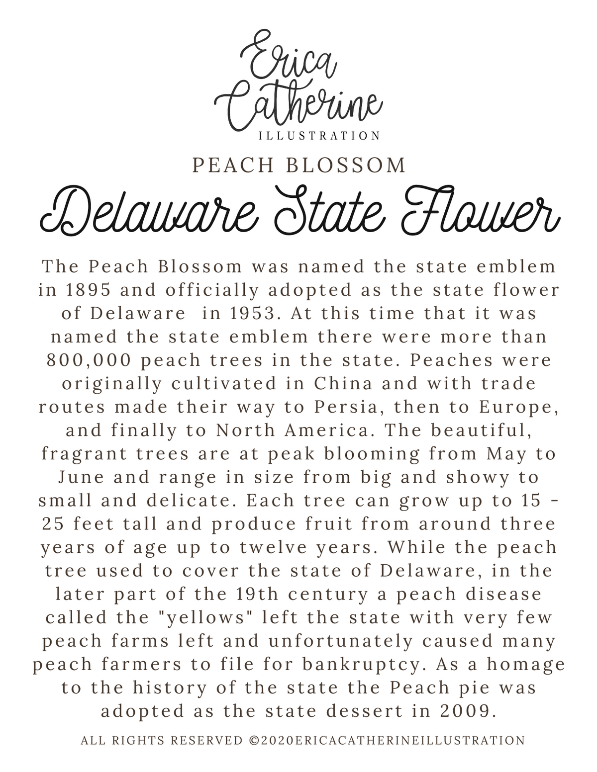 Delaware State Flower Map Vinyl Sticker