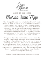 Load image into Gallery viewer, Florida State Map Art Print