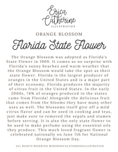 Load image into Gallery viewer, Florida State Flower Map Vinyl Sticker