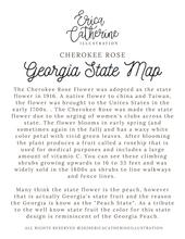 Load image into Gallery viewer, Georgia State Map Art Print