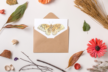 Load image into Gallery viewer, Butterfly Card Set