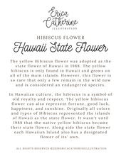 Load image into Gallery viewer, Hawaii State Flower Map Vinyl Sticker