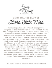 Load image into Gallery viewer, Idaho State Map Art Print