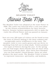 Load image into Gallery viewer, Illinois State Map Art Print