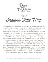 Load image into Gallery viewer, Indiana State Map Art Print